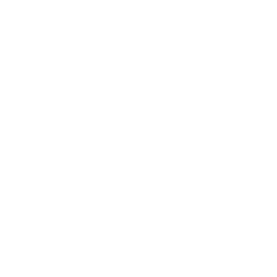 Strapi plugin logo for React email